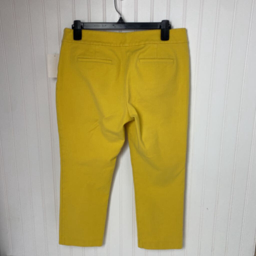 FLAT FRONT CAPRI
