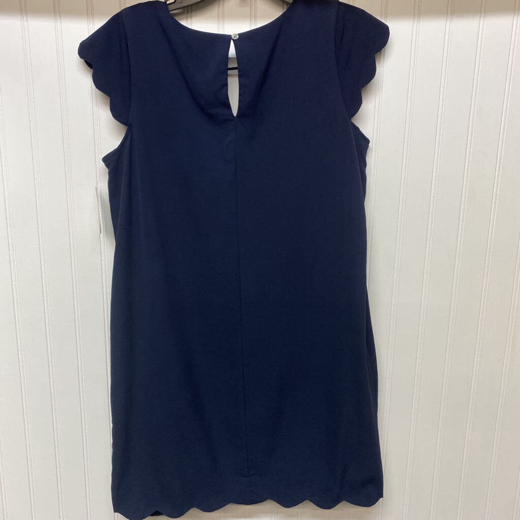 SLEEVLESS A LINE DRESS