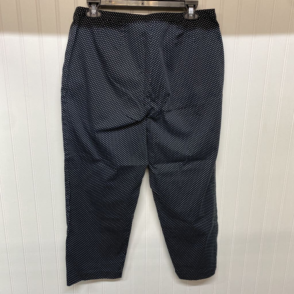 FLAT FRONT PANTS