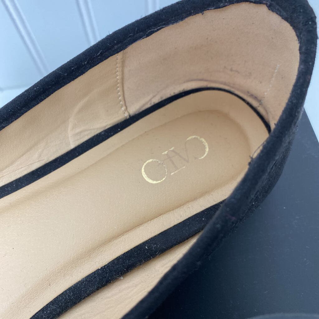 SUEDE DRESS FLATS