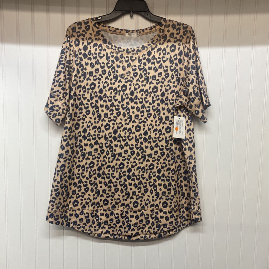 LADIES BASIC SHORT SLEEVE