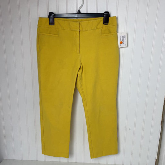 FLAT FRONT CAPRI