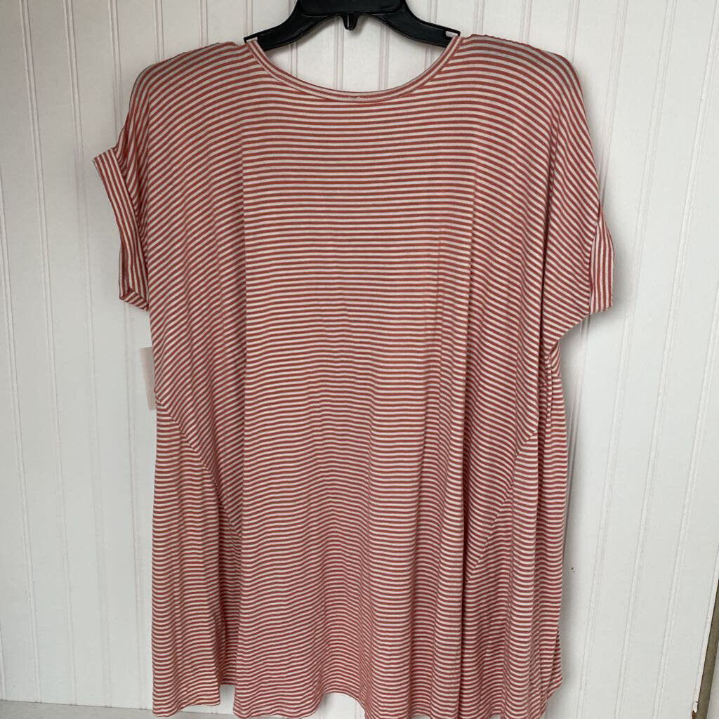 SHORT SLEEVE TOP