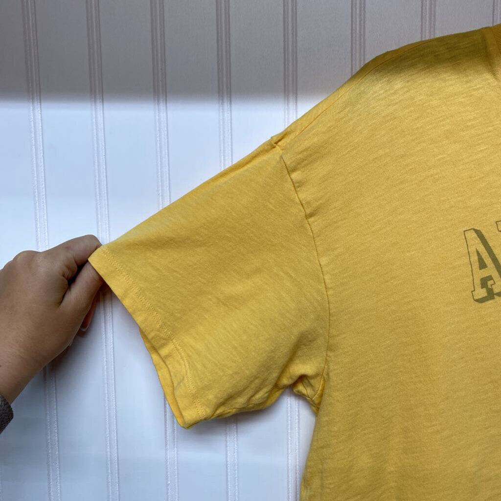 AMERICAN EAGLE GRAPHIC TEE