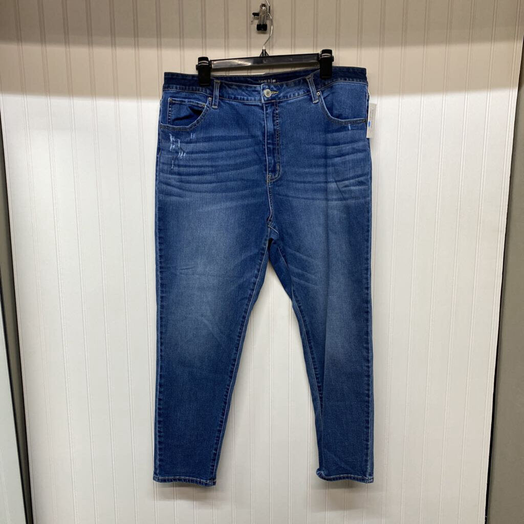 WOMENS PLUS SKINNY JEANS
