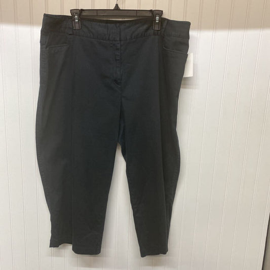 FLAT FRONT PANTS