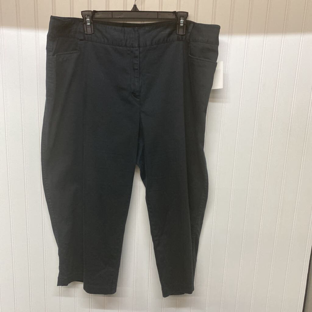 FLAT FRONT PANTS