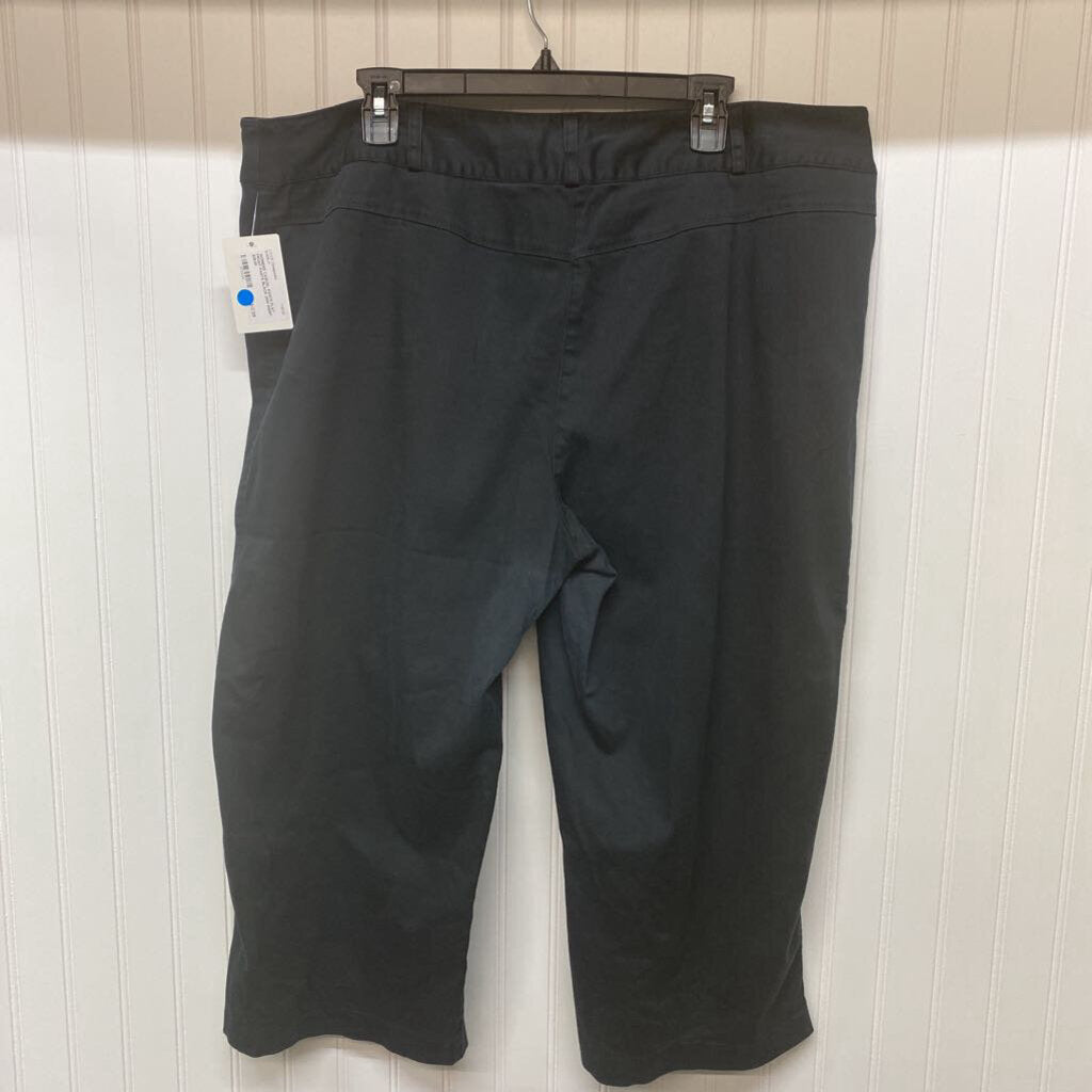 FLAT FRONT PANTS