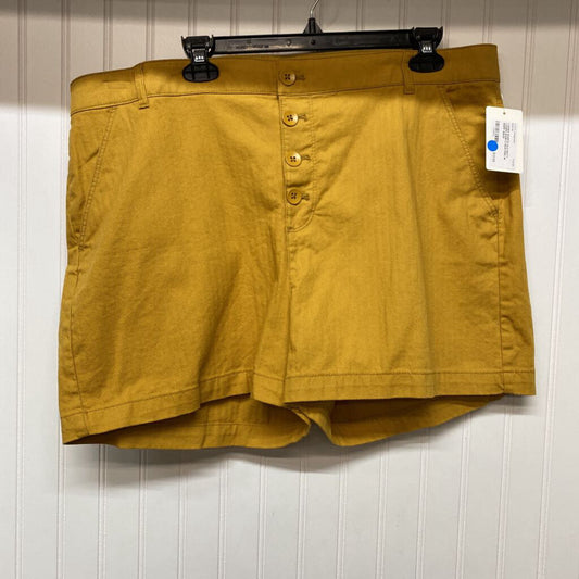 LADIES SHORTS