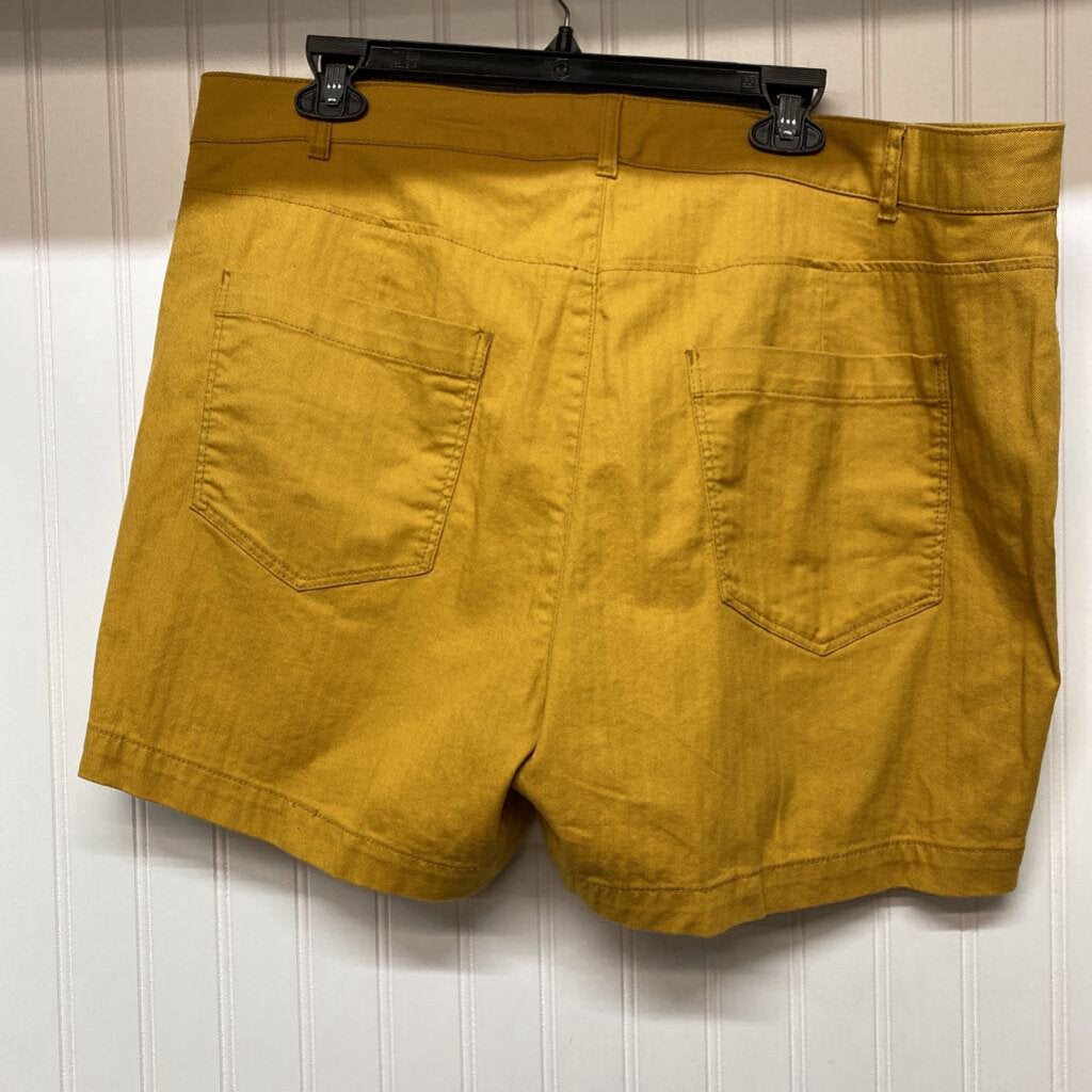 LADIES SHORTS