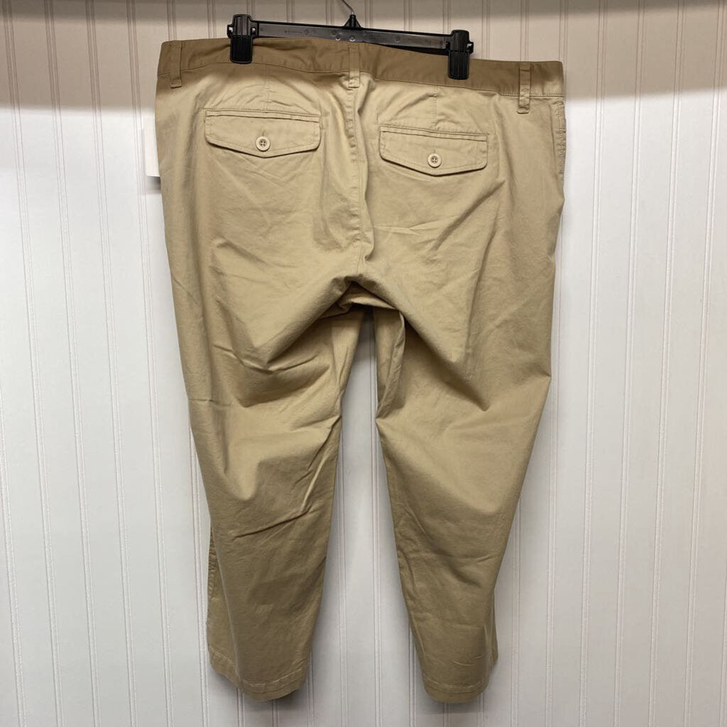 FLAT FRONT PANTS