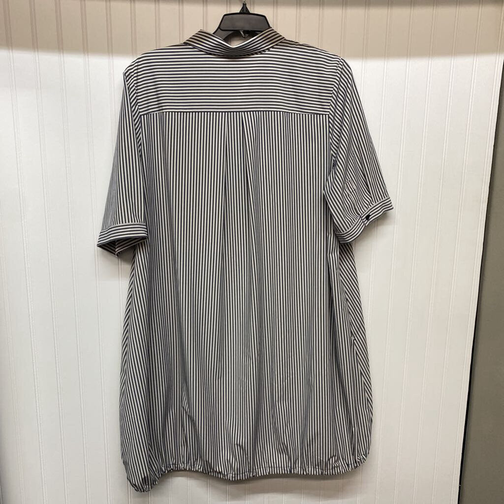 GRAY AND WHITE STRIPED