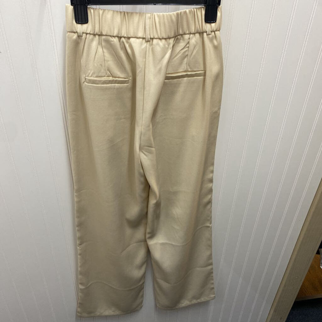 PLEATED DRESS PANTS