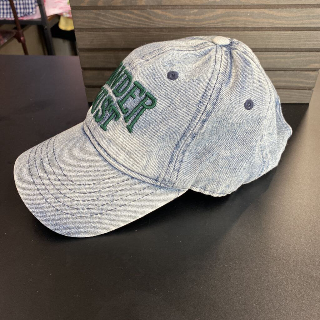 DENIM BALL CAP