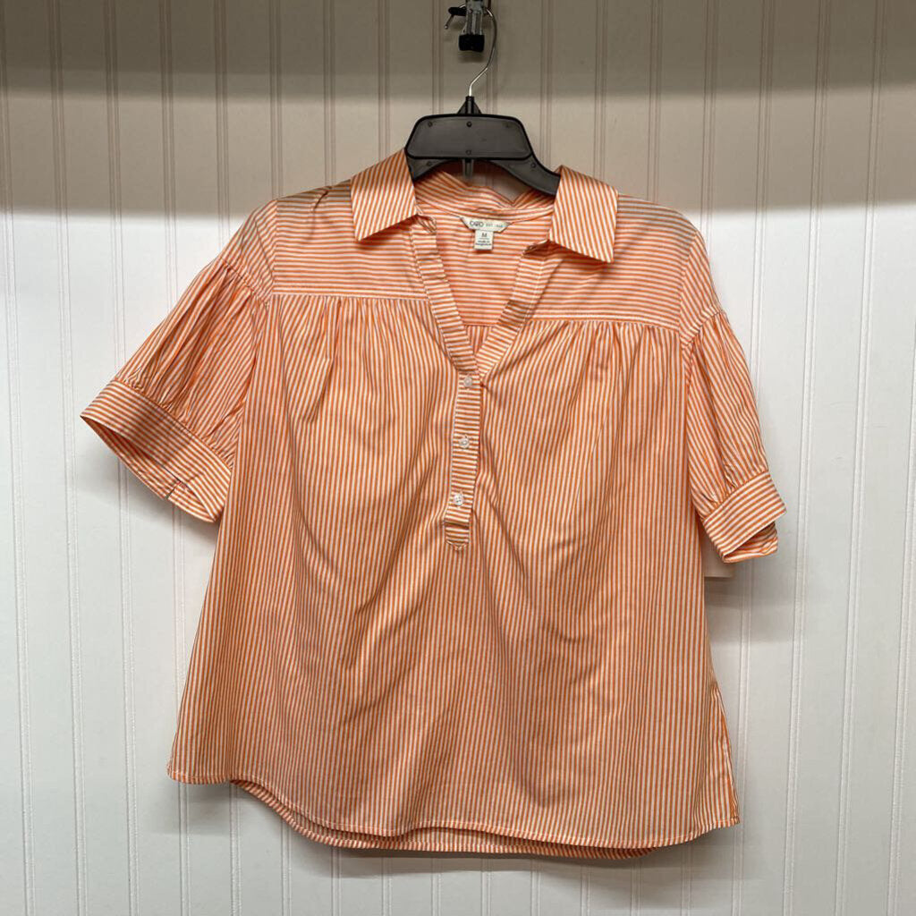 STRIPPED BUTTON DOWN