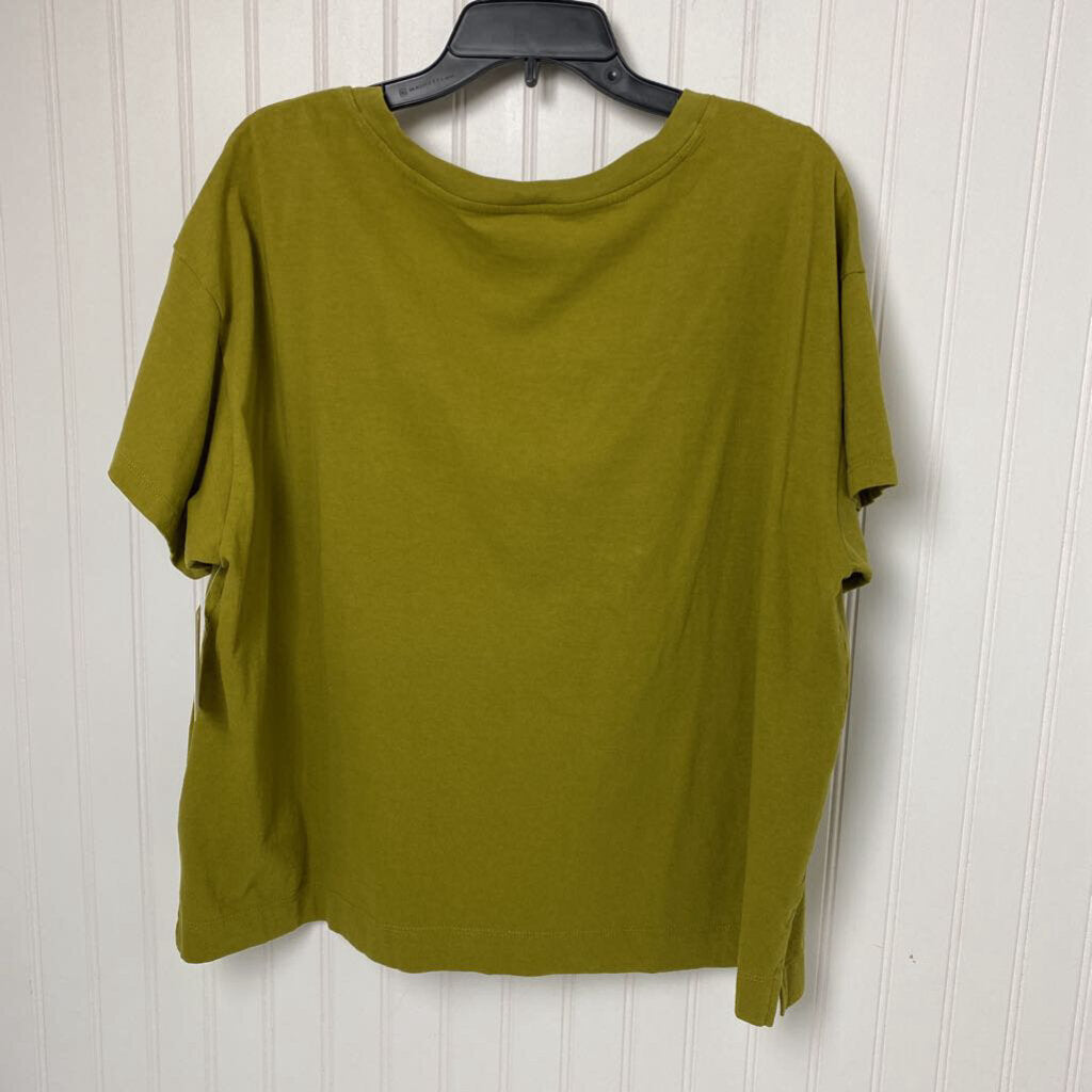BASIC VNECK TSHIRT