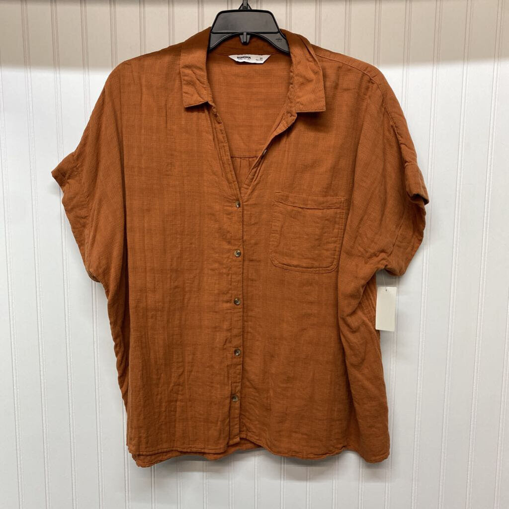 ORANGE BUTTON UP