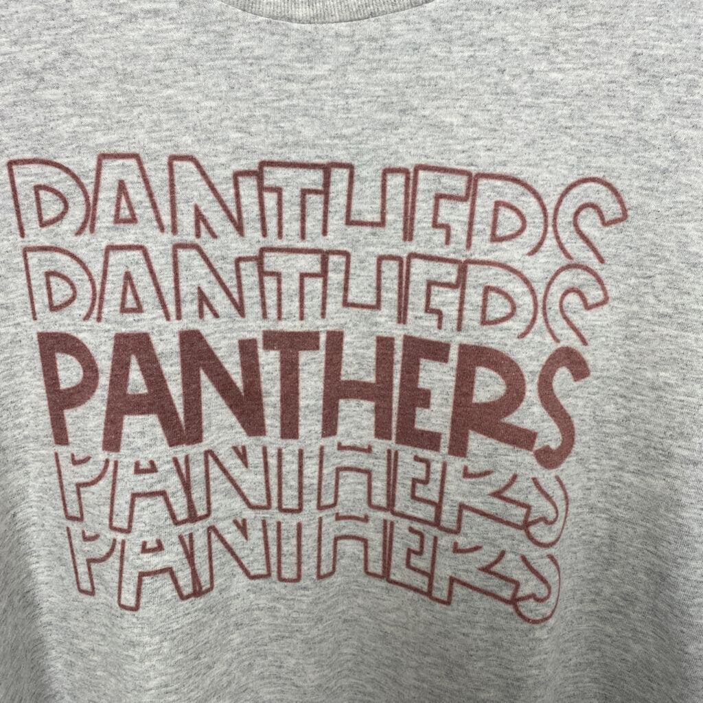 PANTHERS GRAPHIC TEE