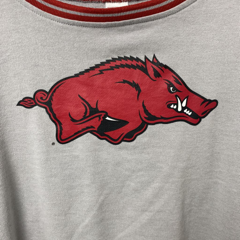 *RAZORBACK SWEATSHIRT GRAPHIC