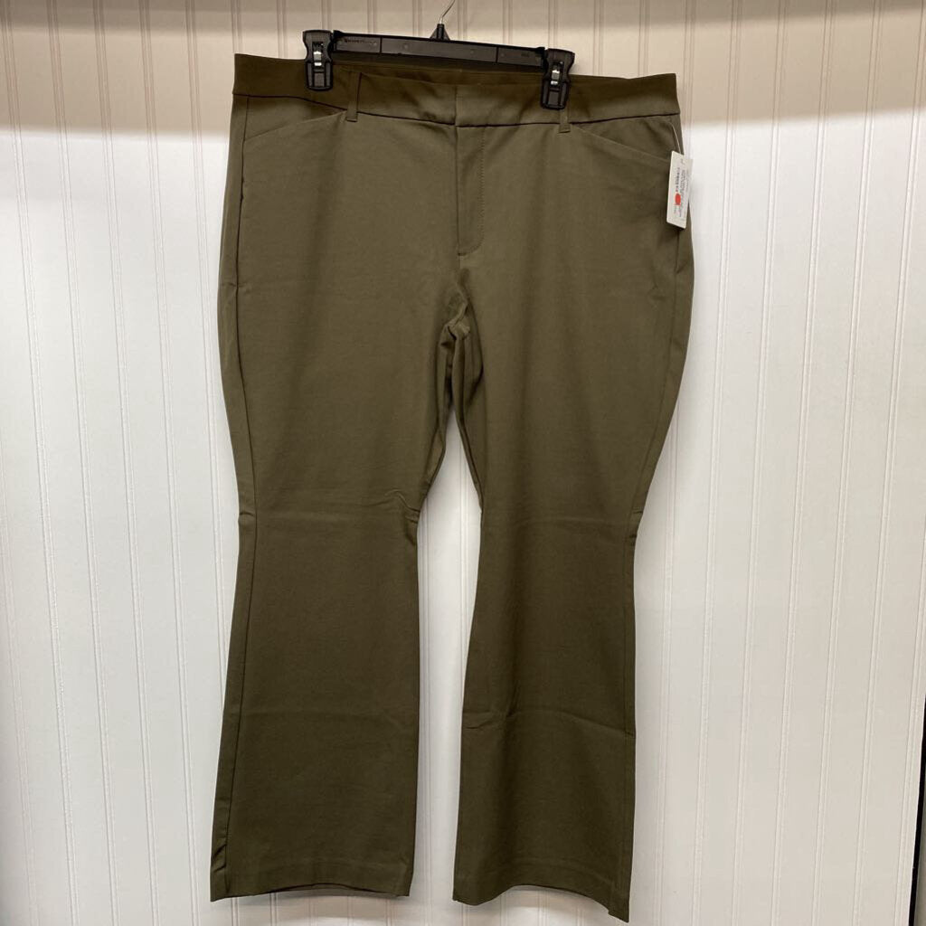 FLAT FRONT FLARE DRESS PANTS