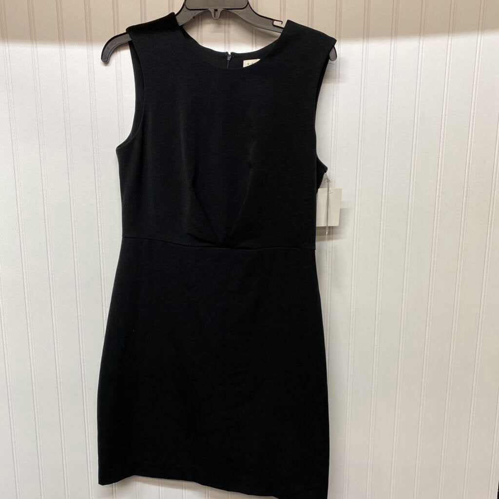 *BLACK SLEEVELESS PLEATED IN MIDDLE