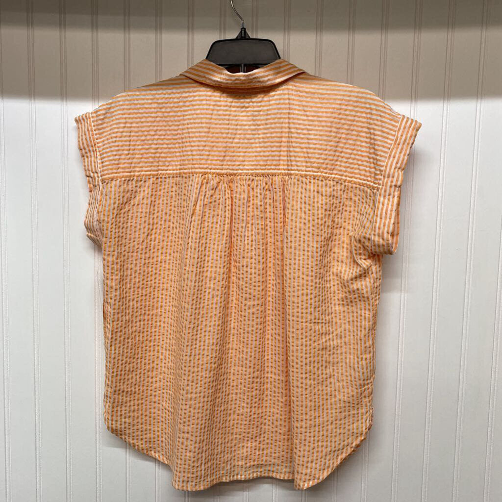 *BUTTON UP COLLAR DRESS SHIRT