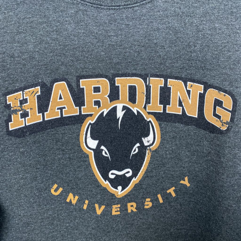 HARDING UNIV. GRAPHIC