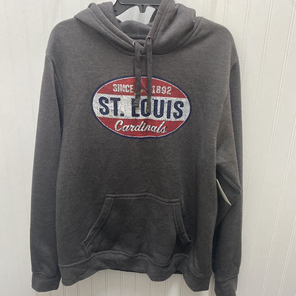 MENS GRAPHIC HOODIE