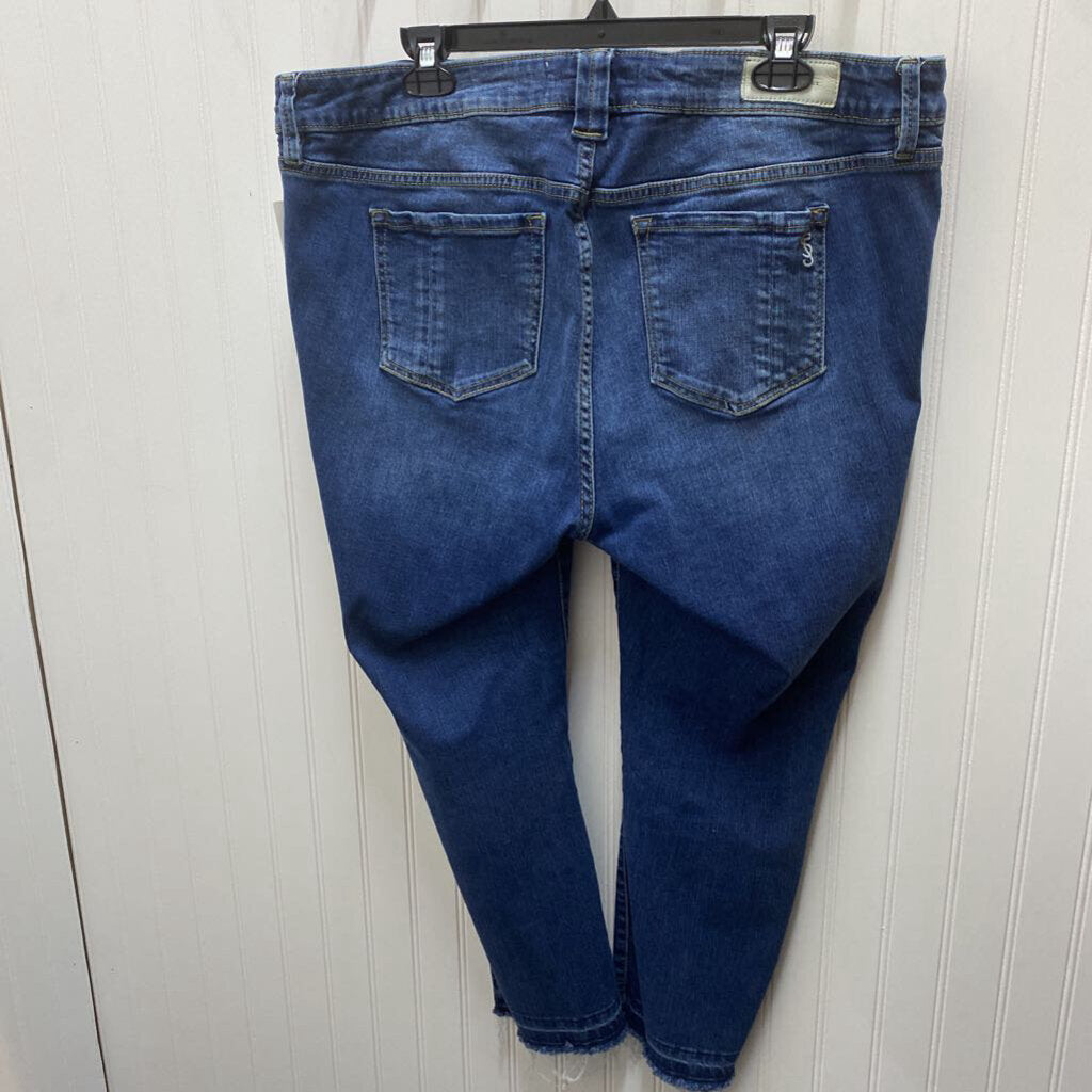 DISTRESSED WOMENS PLUS JEANS