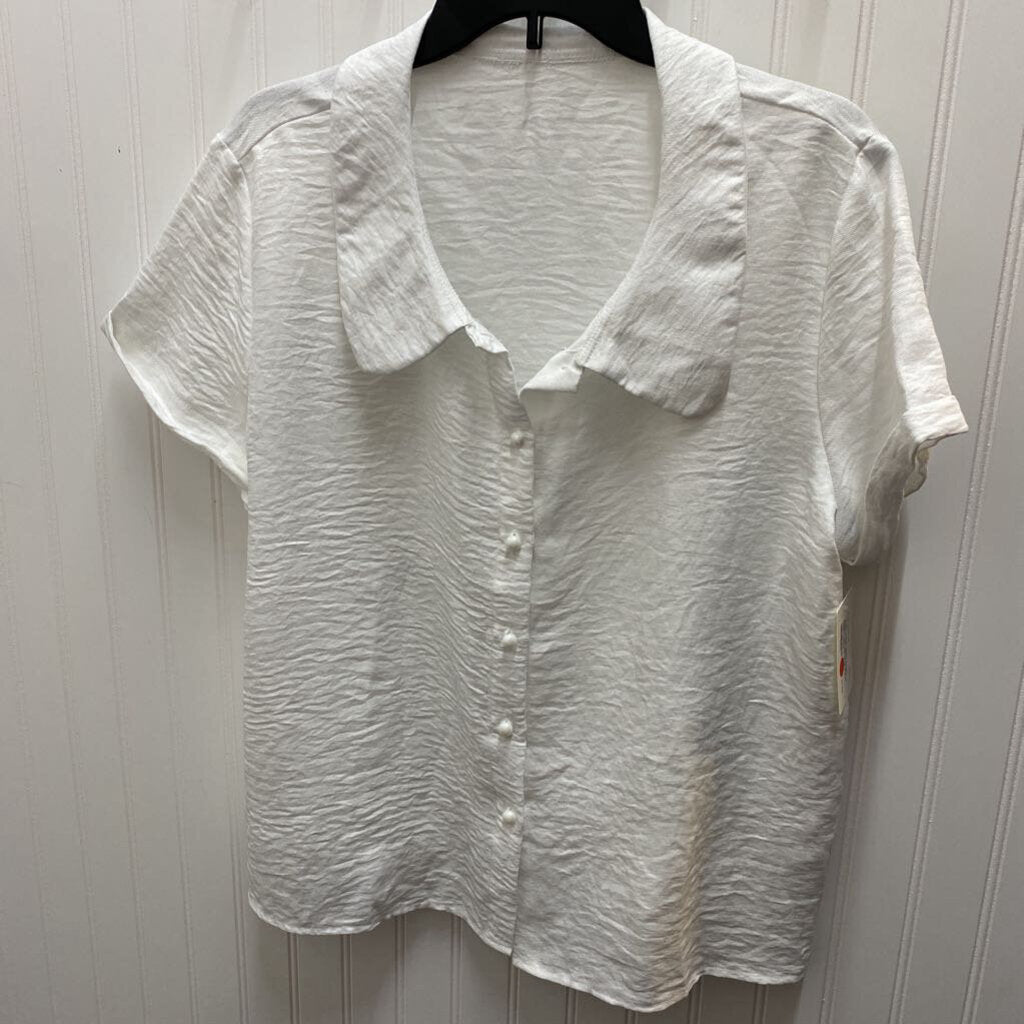 SHORT SLEEVE BUTTON UP