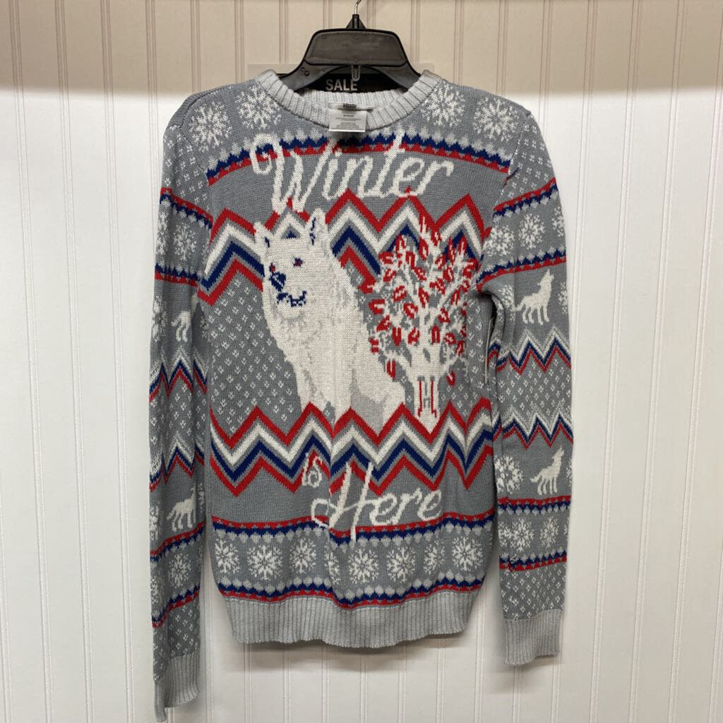 WINTER IS HERE SWEATER