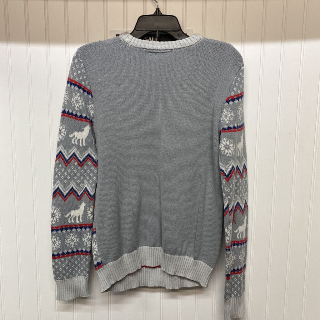WINTER IS HERE SWEATER
