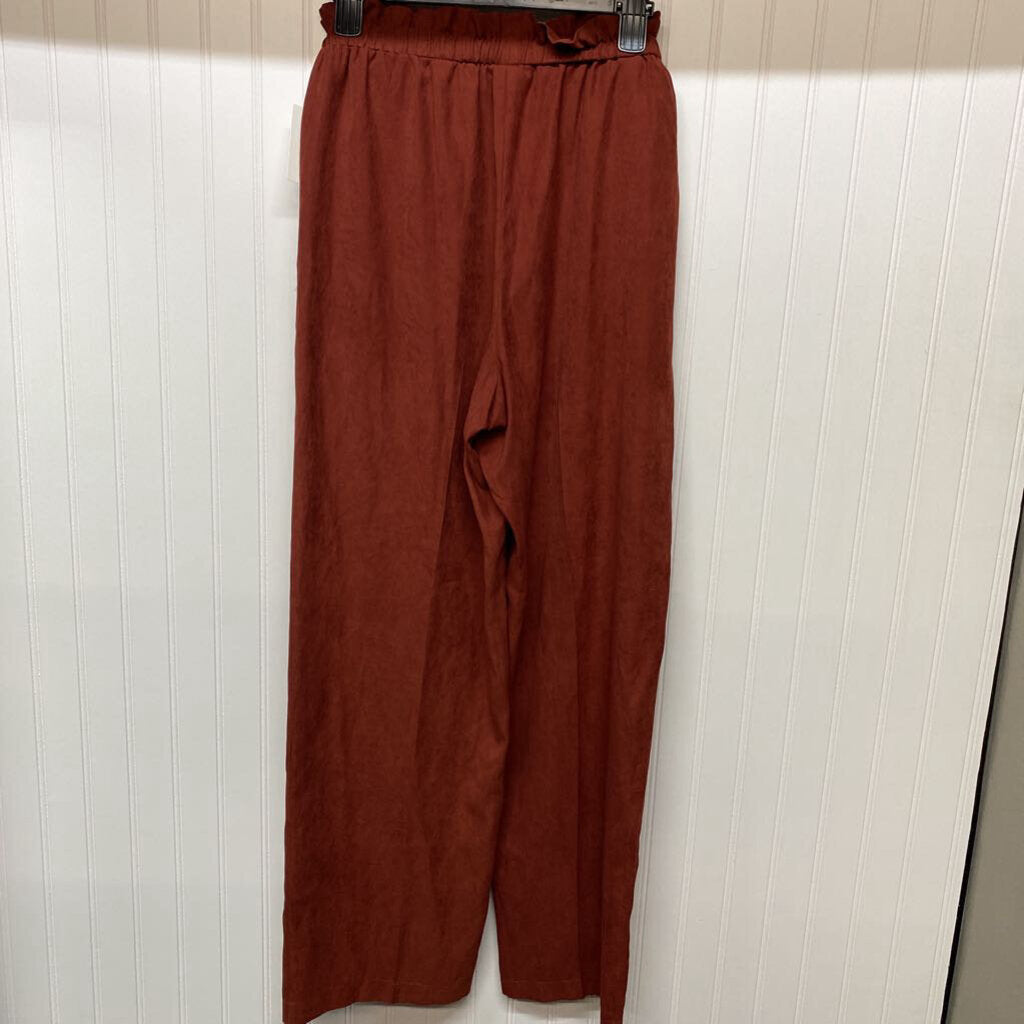 FAUX SUEDE PANTS