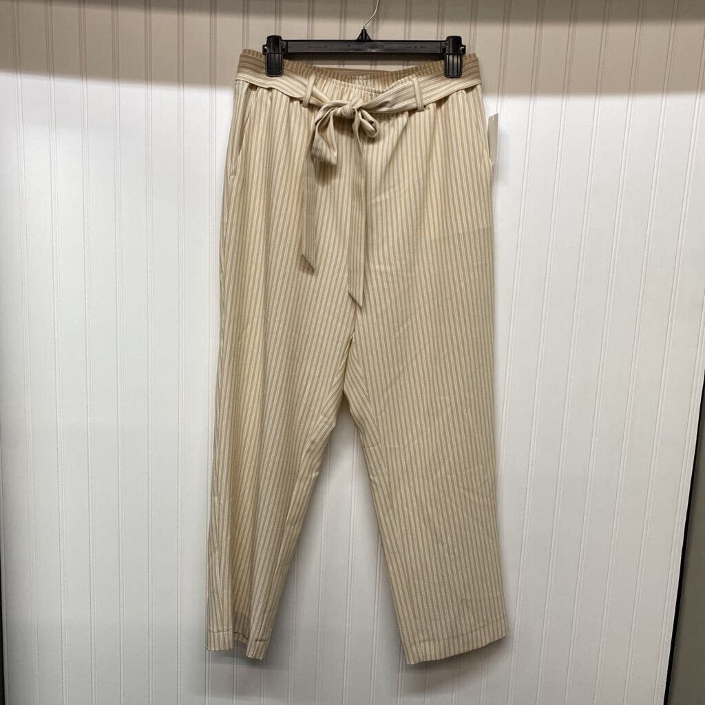 ELASTIC WAIST PANTS