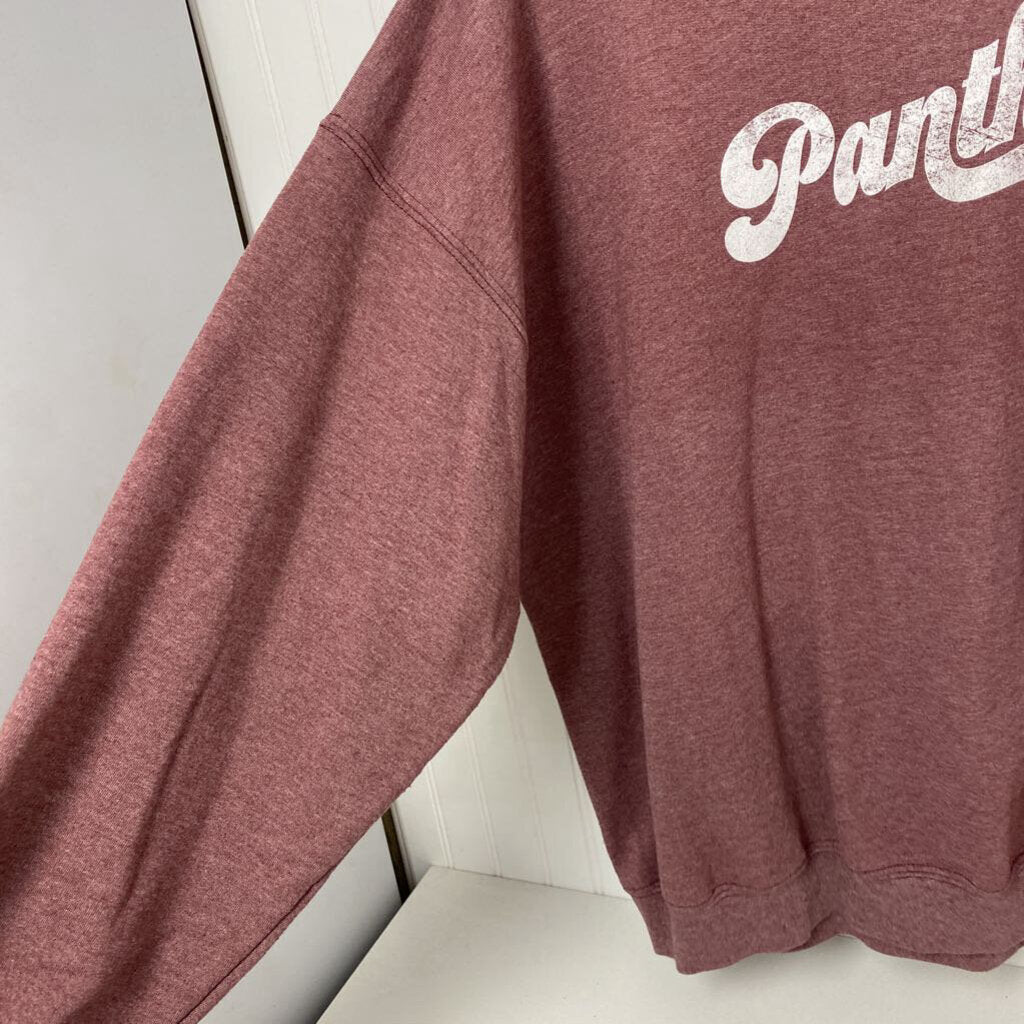 PANTHERS GRAPHIC SWEATSHIRT