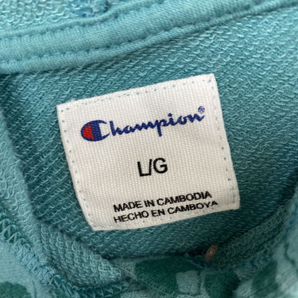 CHAMPION LOGO HOODIE